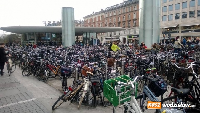 Zdjęcie w galerii na portalu naszwodzislaw.com: Uczniowie z G3 zawitali do Danii  wiadomości z regionu