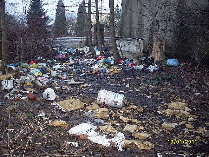 Zdjęcie w galerii na portalu naszwodzislaw.com: Wielki bałagan na terenie miejskim wiadomości z regionu