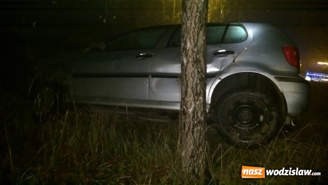 Zdjęcie w galerii na portalu naszwodzislaw.com: Kolizja dwóch pojazdów zakończona uderzeniem w drzewo  wiadomości z regionu