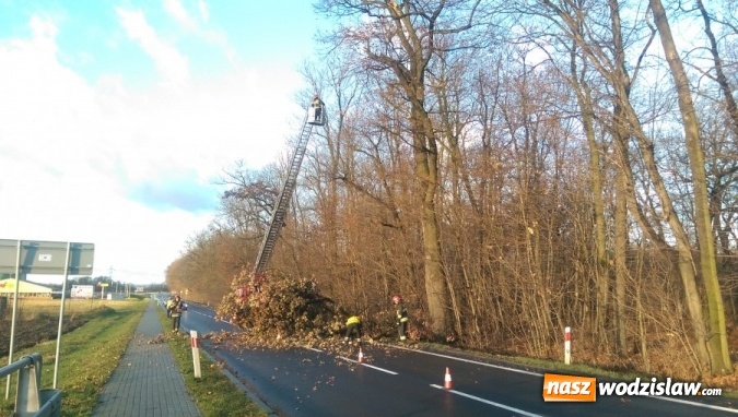 Zdjęcie w galerii na portalu naszwodzislaw.com: Wiatr przyczyną utrudnień na drodze wiadomości z regionu