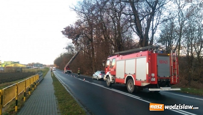 Zdjęcie w galerii na portalu naszwodzislaw.com: Wiatr przyczyną utrudnień na drodze wiadomości z regionu