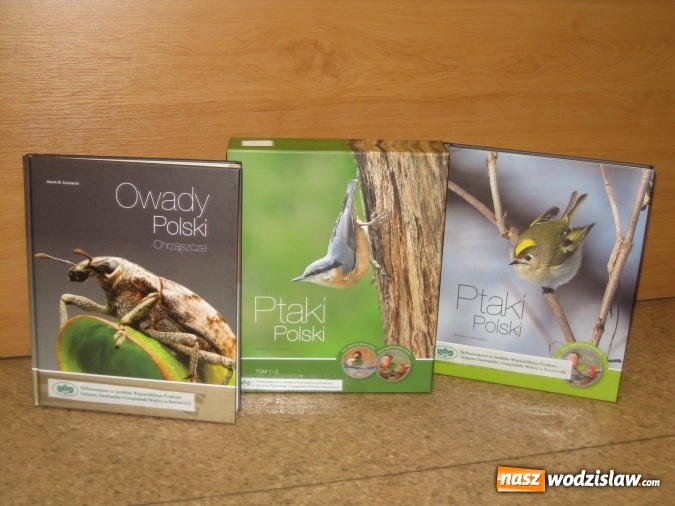 Zdjęcie w galerii na portalu naszwodzislaw.com:  Ekologia bez tajemnic - czas podsumować kampanię 