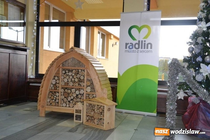 Zdjęcie w galerii na portalu naszwodzislaw.com: Pierwszy Jarmark Pszczeli w Radlinie – za nami  wiadomości z regionu