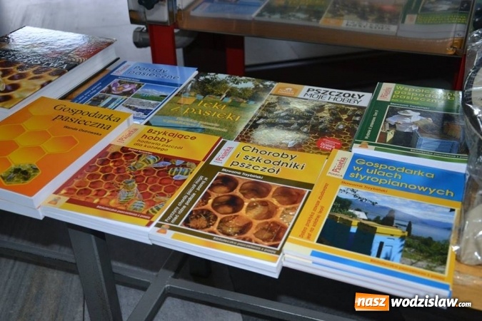 Zdjęcie w galerii na portalu naszwodzislaw.com: Pierwszy Jarmark Pszczeli w Radlinie – za nami  wiadomości z regionu