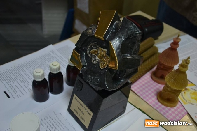 Zdjęcie w galerii na portalu naszwodzislaw.com: Pierwszy Jarmark Pszczeli w Radlinie – za nami  wiadomości z regionu