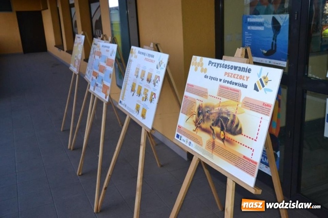 Zdjęcie w galerii na portalu naszwodzislaw.com: Pierwszy Jarmark Pszczeli w Radlinie – za nami  wiadomości z regionu