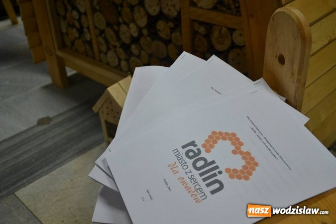 Zdjęcie w galerii na portalu naszwodzislaw.com: Pierwszy Jarmark Pszczeli w Radlinie – za nami  wiadomości z regionu