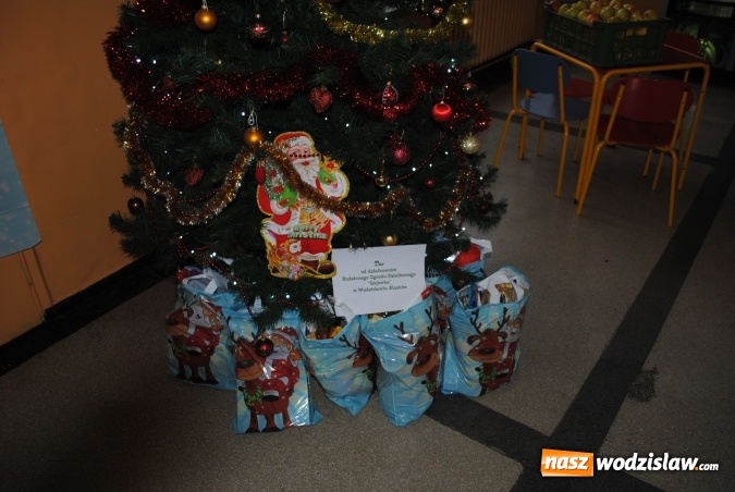 Zdjęcie w galerii na portalu naszwodzislaw.com: Rodzinny Ogród Działkowy Gajówka lubi pomagać!  wiadomości z regionu