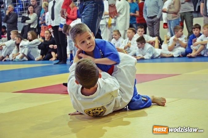 Zdjęcie w galerii na portalu naszwodzislaw.com: 5 medali zgarnęli zawodnicy Octagon team podczas Ligi Dzieci i Młodzieży w Katowicach  wiadomości z regionu