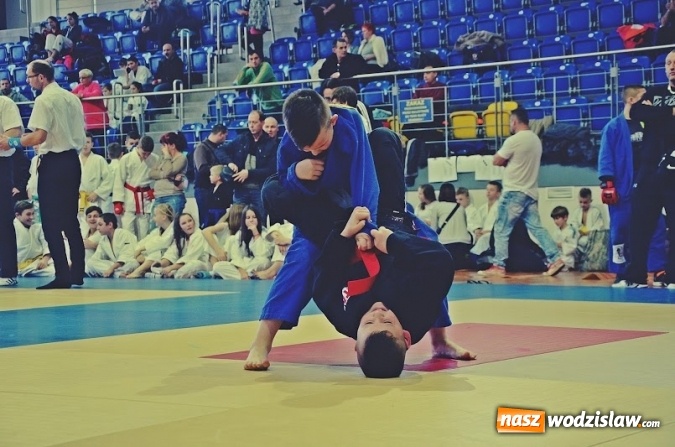 Zdjęcie w galerii na portalu naszwodzislaw.com: 5 medali zgarnęli zawodnicy Octagon team podczas Ligi Dzieci i Młodzieży w Katowicach  wiadomości z regionu