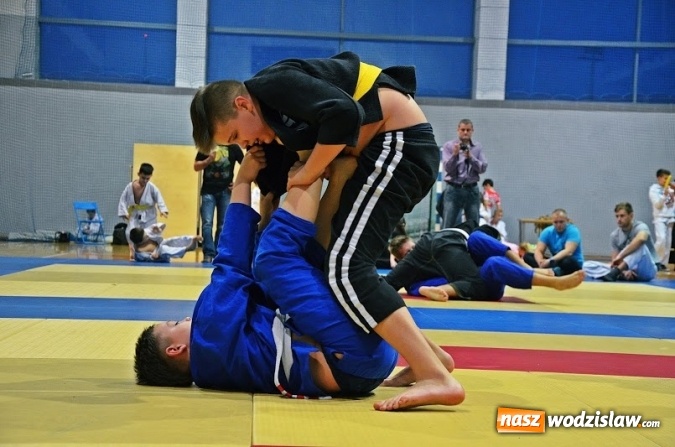 Zdjęcie w galerii na portalu naszwodzislaw.com: 5 medali zgarnęli zawodnicy Octagon team podczas Ligi Dzieci i Młodzieży w Katowicach  wiadomości z regionu