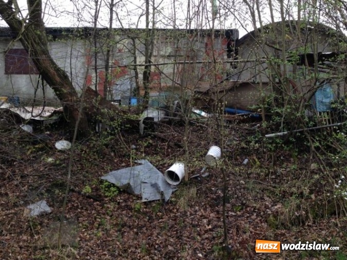 Zdjęcie w galerii na portalu naszwodzislaw.com: Jedno z większych wysypisk i zaśmieceń w Wodzisławiu uprzątnięte  wiadomości z regionu