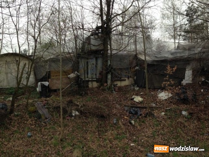 Zdjęcie w galerii na portalu naszwodzislaw.com: Jedno z większych wysypisk i zaśmieceń w Wodzisławiu uprzątnięte  wiadomości z regionu