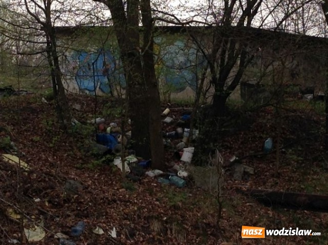 Zdjęcie w galerii na portalu naszwodzislaw.com: Jedno z większych wysypisk i zaśmieceń w Wodzisławiu uprzątnięte  wiadomości z regionu