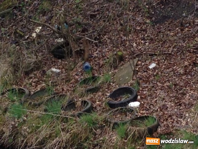 Zdjęcie w galerii na portalu naszwodzislaw.com: Jedno z większych wysypisk i zaśmieceń w Wodzisławiu uprzątnięte  wiadomości z regionu