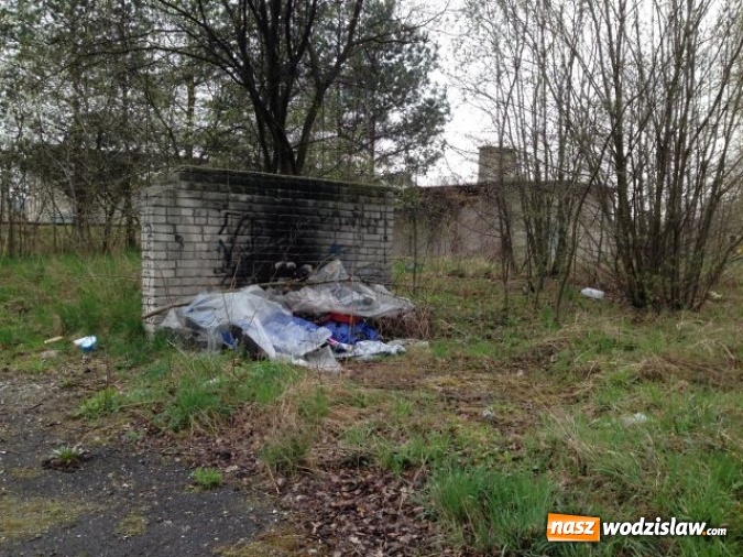 Zdjęcie w galerii na portalu naszwodzislaw.com: Jedno z większych wysypisk i zaśmieceń w Wodzisławiu uprzątnięte  wiadomości z regionu