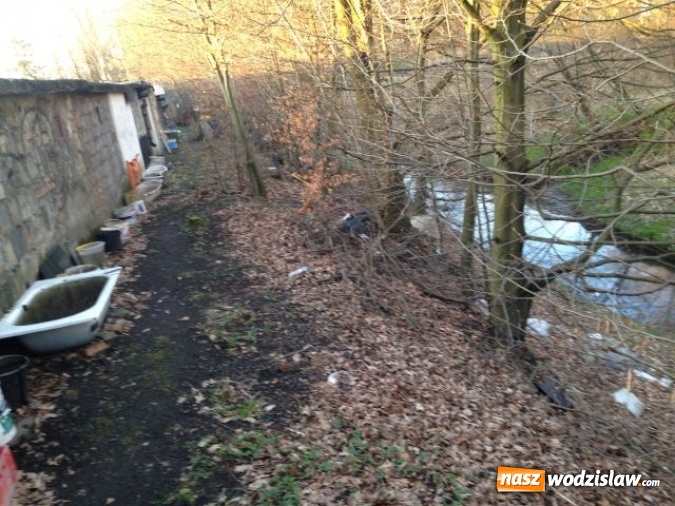 Zdjęcie w galerii na portalu naszwodzislaw.com: Jedno z większych wysypisk i zaśmieceń w Wodzisławiu uprzątnięte  wiadomości z regionu