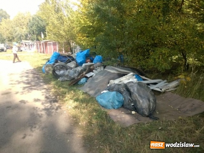 Zdjęcie w galerii na portalu naszwodzislaw.com: Jedno z większych wysypisk i zaśmieceń w Wodzisławiu uprzątnięte  wiadomości z regionu