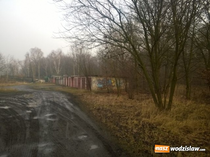 Zdjęcie w galerii na portalu naszwodzislaw.com: Jedno z większych wysypisk i zaśmieceń w Wodzisławiu uprzątnięte  wiadomości z regionu