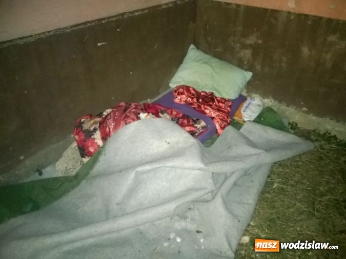 Zdjęcie w galerii na portalu naszwodzislaw.com: Uratowali życie bezdomnemu! Młody człowiek spał pod gołym niebem  wiadomości z regionu