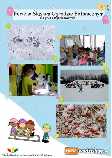 Zdjęcie w galerii na portalu naszwodzislaw.com: Ferie z Akademią Bioróżnorodności wiadomości z regionu