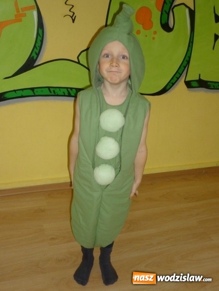 Zdjęcie w galerii na portalu naszwodzislaw.com: Całoroczna wypożyczalnia stroj&oacute;w karnawałowych w Crazy Club wiadomości z regionu