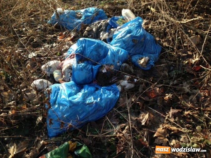 Zdjęcie w galerii na portalu naszwodzislaw.com: Dzikie wysypiska śmieci - podsumowanie akcji wiadomości z regionu