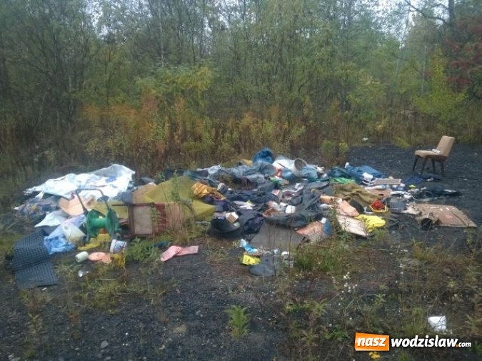 Zdjęcie w galerii na portalu naszwodzislaw.com: Dzikie wysypiska śmieci - podsumowanie akcji wiadomości z regionu