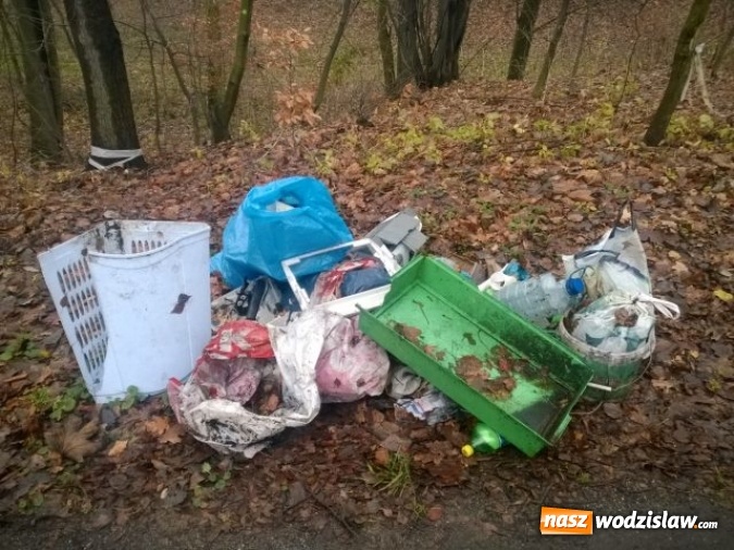 Zdjęcie w galerii na portalu naszwodzislaw.com: Dzikie wysypiska śmieci - podsumowanie akcji wiadomości z regionu