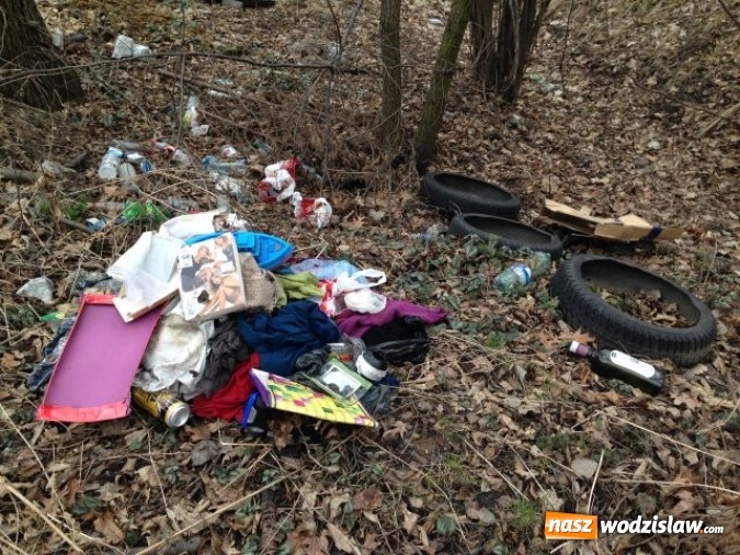 Zdjęcie w galerii na portalu naszwodzislaw.com: Dzikie wysypiska śmieci - podsumowanie akcji wiadomości z regionu