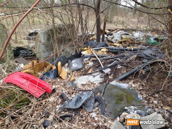 Zdjęcie w galerii na portalu naszwodzislaw.com: Dzikie wysypiska śmieci - podsumowanie akcji wiadomości z regionu