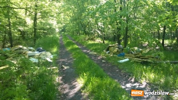 Zdjęcie w galerii na portalu naszwodzislaw.com: Dzikie wysypiska śmieci - podsumowanie akcji wiadomości z regionu