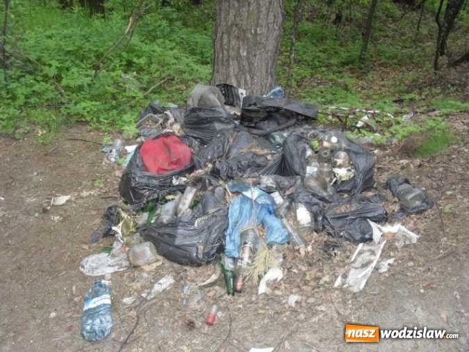 Zdjęcie w galerii na portalu naszwodzislaw.com: Dzikie wysypiska śmieci - podsumowanie akcji wiadomości z regionu