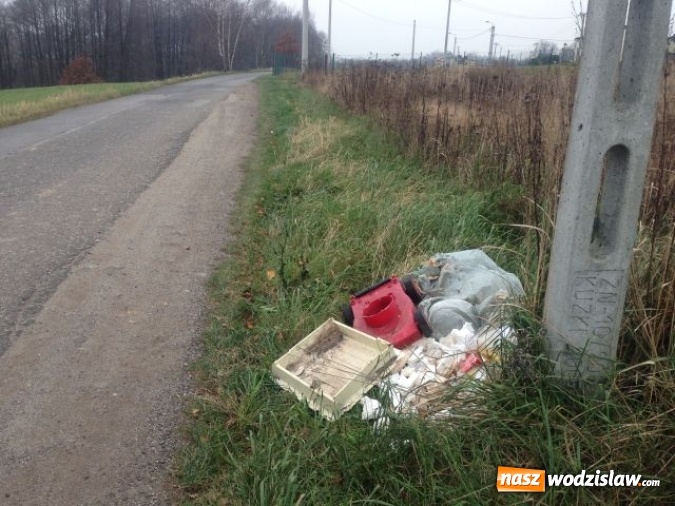 Zdjęcie w galerii na portalu naszwodzislaw.com: Dzikie wysypiska śmieci - podsumowanie akcji wiadomości z regionu