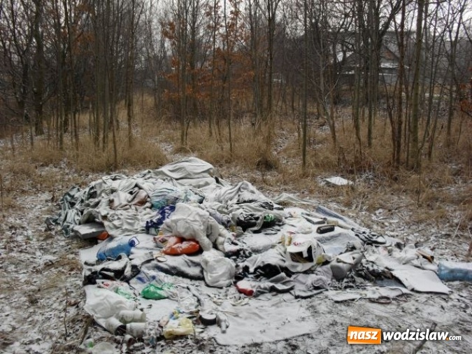 Zdjęcie w galerii na portalu naszwodzislaw.com: Dzikie wysypiska śmieci - podsumowanie akcji wiadomości z regionu