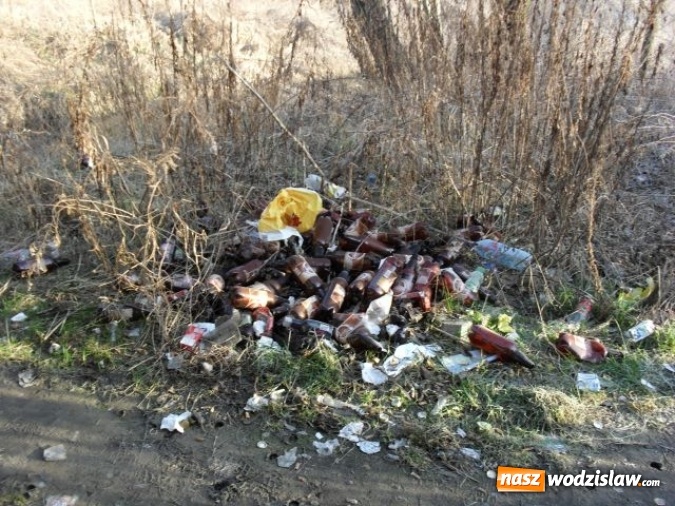 Zdjęcie w galerii na portalu naszwodzislaw.com: Dzikie wysypiska śmieci - podsumowanie akcji wiadomości z regionu