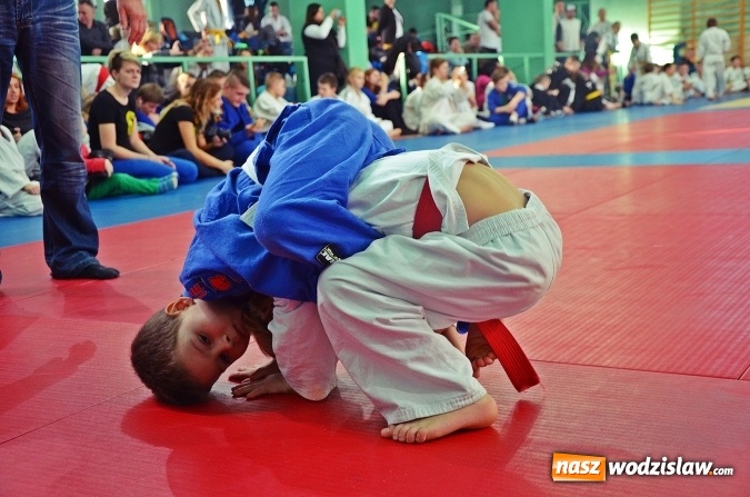 Zdjęcie w galerii na portalu naszwodzislaw.com: 7 medali dla zawodników Octagon Team w kolejnej odsłonie Ogólnopolskiej Ligi dzieci i młodzieży  wiadomości z regionu