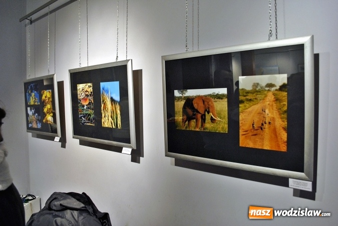 Zdjęcie w galerii na portalu naszwodzislaw.com: 