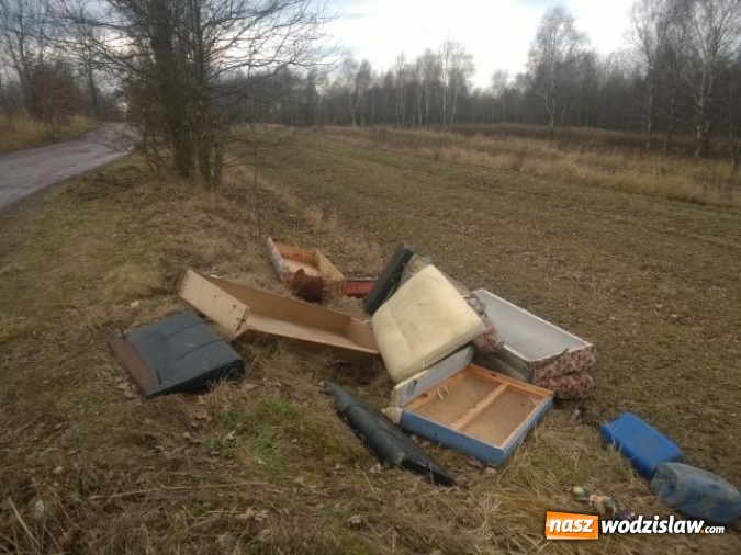 Zdjęcie w galerii na portalu naszwodzislaw.com: Kolejne dzikie wysypisko. W okolicy ul. Młodzieżowej ktoś wyrzucił stare meble  wiadomości z regionu
