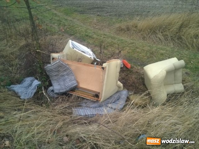 Zdjęcie w galerii na portalu naszwodzislaw.com: Kolejne dzikie wysypisko. W okolicy ul. Młodzieżowej ktoś wyrzucił stare meble  wiadomości z regionu