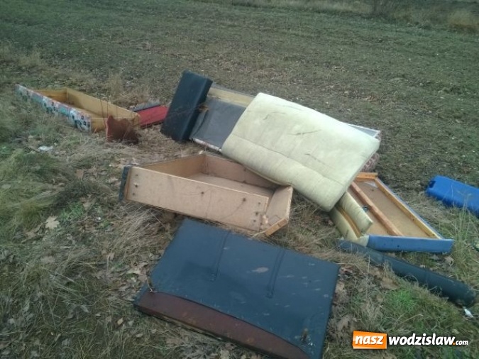 Zdjęcie w galerii na portalu naszwodzislaw.com: Kolejne dzikie wysypisko. W okolicy ul. Młodzieżowej ktoś wyrzucił stare meble  wiadomości z regionu