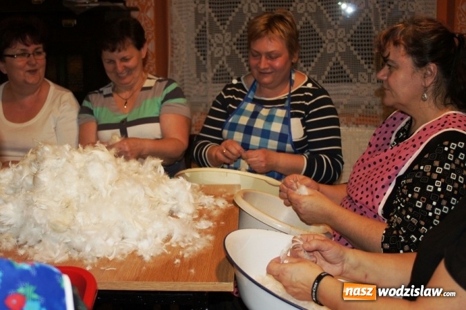 Zdjęcie w galerii na portalu naszwodzislaw.com: KGW w Gogołowej zorganizowało tradycyjne skubanie pierza w Izbie Regionalnej wiadomości z regionu