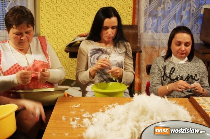 Zdjęcie w galerii na portalu naszwodzislaw.com: KGW w Gogołowej zorganizowało tradycyjne skubanie pierza w Izbie Regionalnej wiadomości z regionu