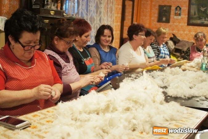 Zdjęcie w galerii na portalu naszwodzislaw.com: KGW w Gogołowej zorganizowało tradycyjne skubanie pierza w Izbie Regionalnej wiadomości z regionu