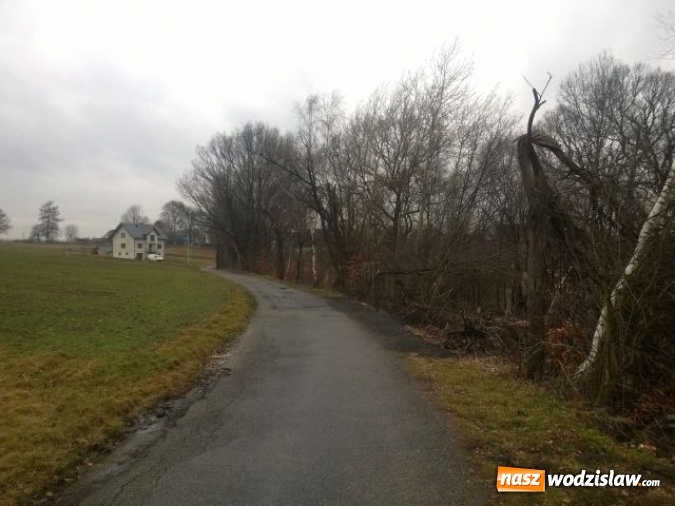 Zdjęcie w galerii na portalu naszwodzislaw.com: Kolejne dzikie wysypisko w Wodzisławiu. Tym razem przy ulicy Owocowej  wiadomości z regionu