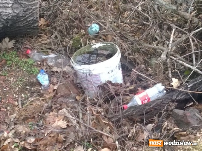 Zdjęcie w galerii na portalu naszwodzislaw.com: Kolejne dzikie wysypisko w Wodzisławiu. Tym razem przy ulicy Owocowej  wiadomości z regionu