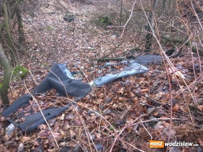 Zdjęcie w galerii na portalu naszwodzislaw.com: Kolejne dzikie wysypisko w Wodzisławiu. Tym razem przy ulicy Owocowej  wiadomości z regionu
