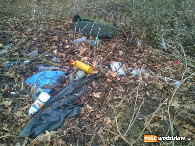 Zdjęcie w galerii na portalu naszwodzislaw.com: Kolejne dzikie wysypisko w Wodzisławiu. Tym razem przy ulicy Owocowej  wiadomości z regionu