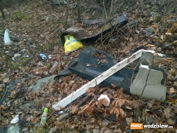 Zdjęcie w galerii na portalu naszwodzislaw.com: Kolejne dzikie wysypisko w Wodzisławiu. Tym razem przy ulicy Owocowej  wiadomości z regionu