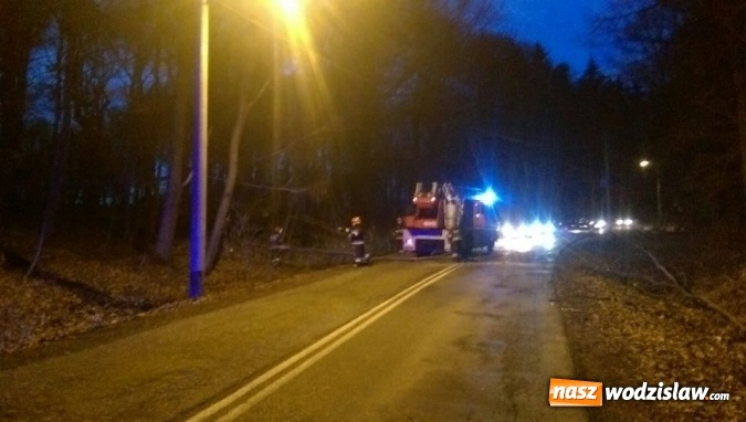 Zdjęcie w galerii na portalu naszwodzislaw.com: Wczorajszy wiatr przyczyną utrudnień na drodze. Na szczęście obyło się bez poważnych zdarzeń zagrażających życiu wiadomości z regionu